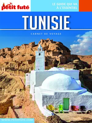 cover image of TUNISIE 2023 Carnet Petit Futé